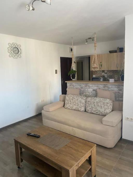 Garsoniera Centrala Apartment